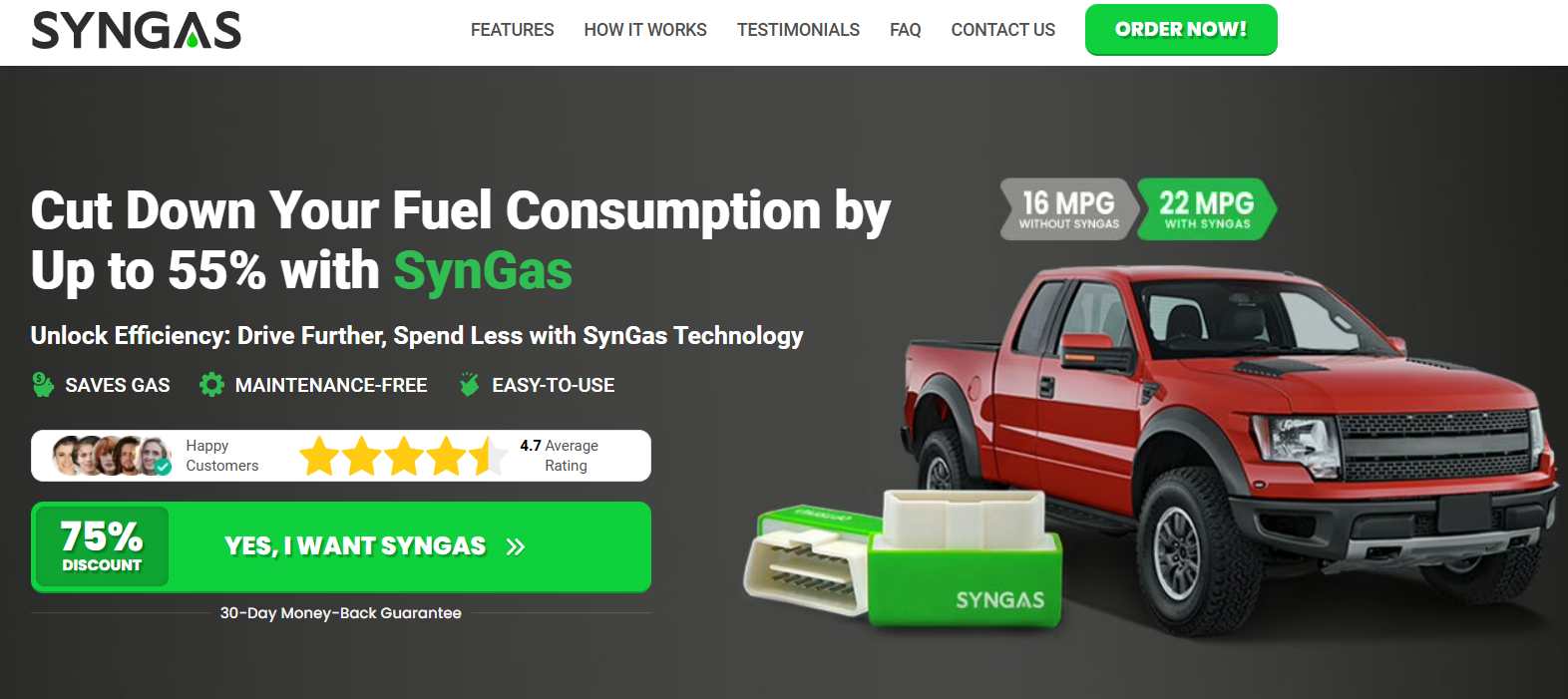 SynGas OBD Fuel Saver Germany