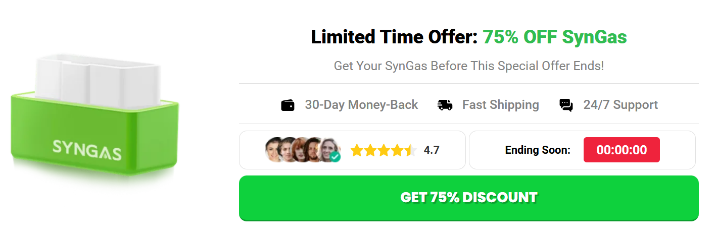 SynGas OBD Fuel Saver Germany1