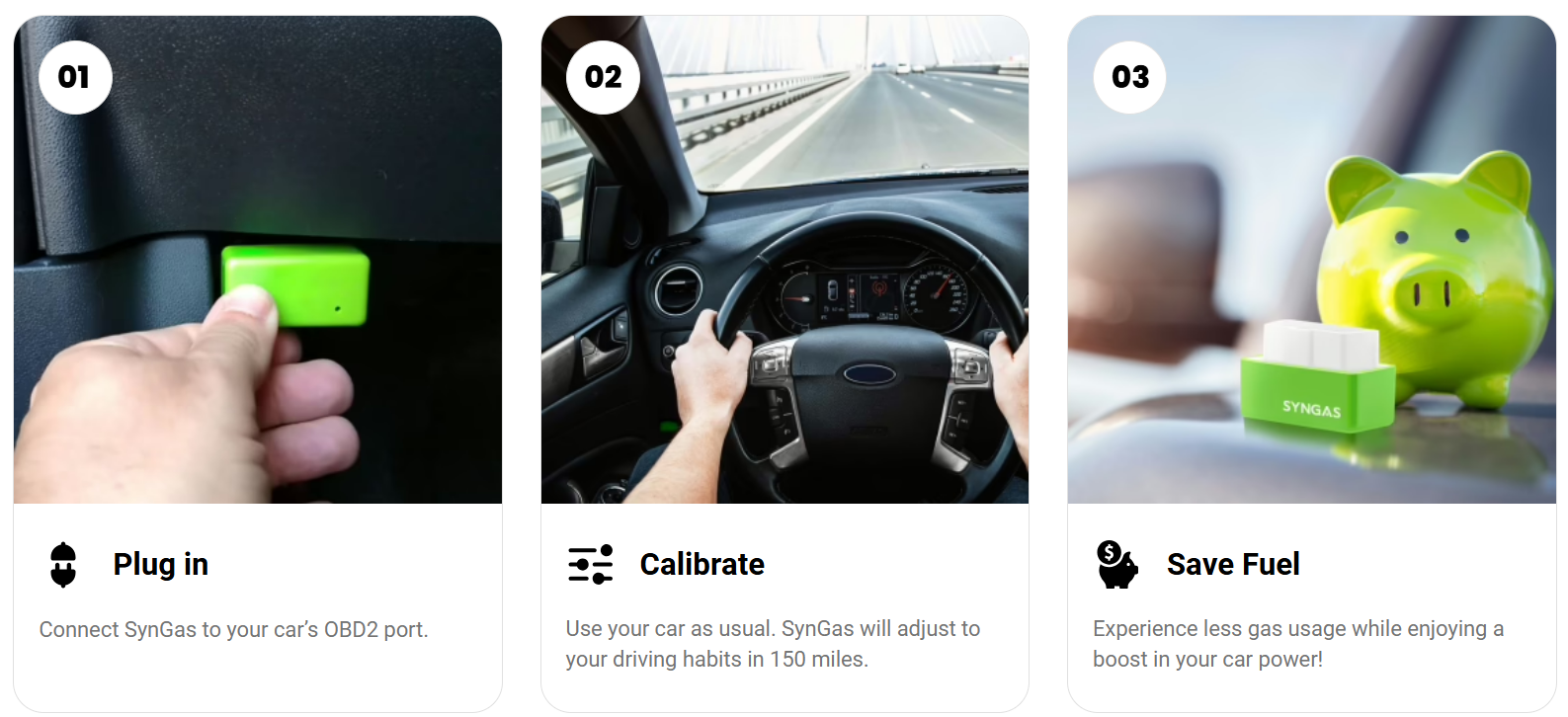 SynGas OBD Fuel Saver Germany2